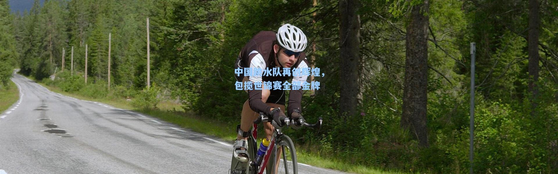 中国跳水队再创辉煌，包揽世锦赛全部金牌