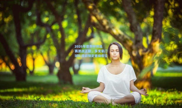 2026年世界杯预选赛激战正酣，多支豪门球队提前锁定晋级席位