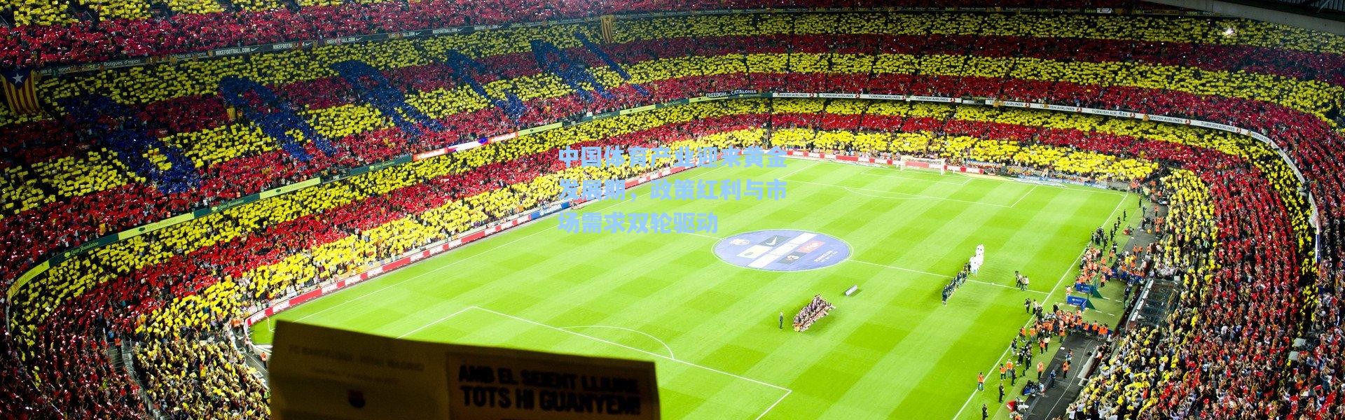 中国体育产业迎来黄金发展期，政策红利与市场需求双轮驱动