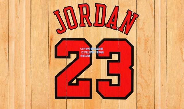 CBA季后赛激战正酣 辽宁队逆转广东队挺进总决赛