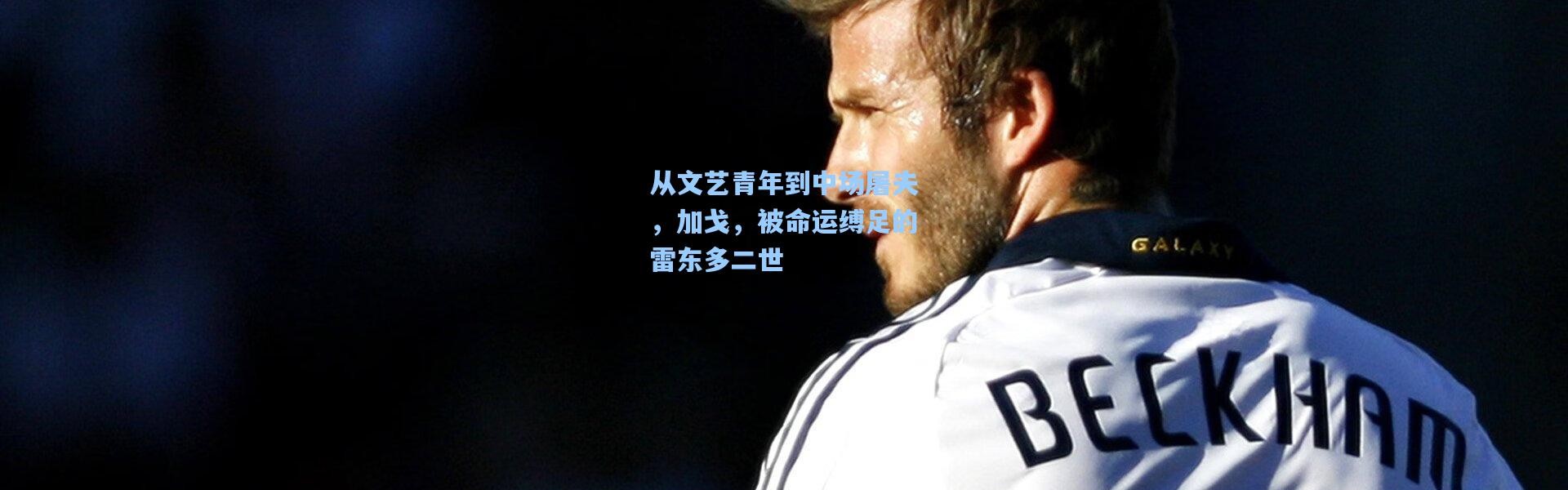 从文艺青年到中场屠夫，加戈，被命运缚足的雷东多二世