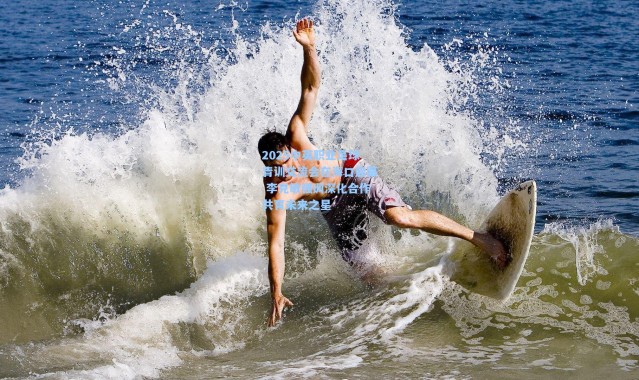 2025中英职业足球青训交流会在海口启幕 李克敏强调深化合作共育未来之星